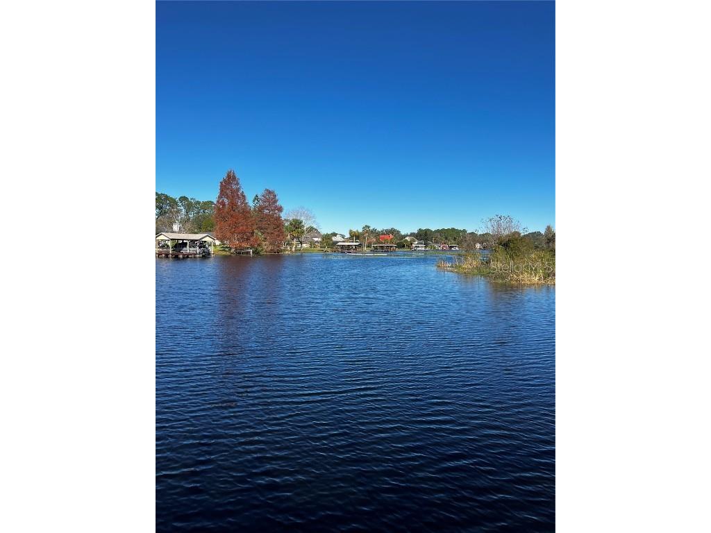 3412 Lake Diane Rd #67 Tavares FL 32778 - LAKE DIANE & HARRIS CHAIN S5081753 image7