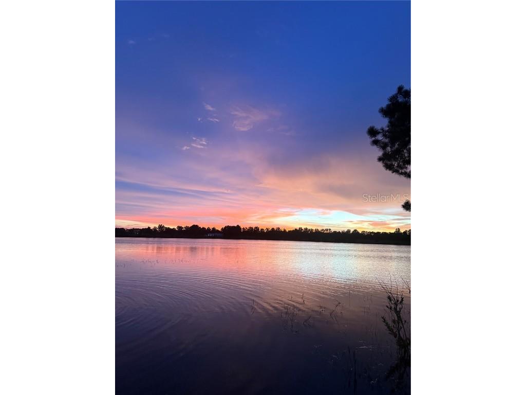 3412 Lake Diane Road Tavares FL 32778 - LAKE DIANE /HARRIS CHAIN LAKES S5119712 image9