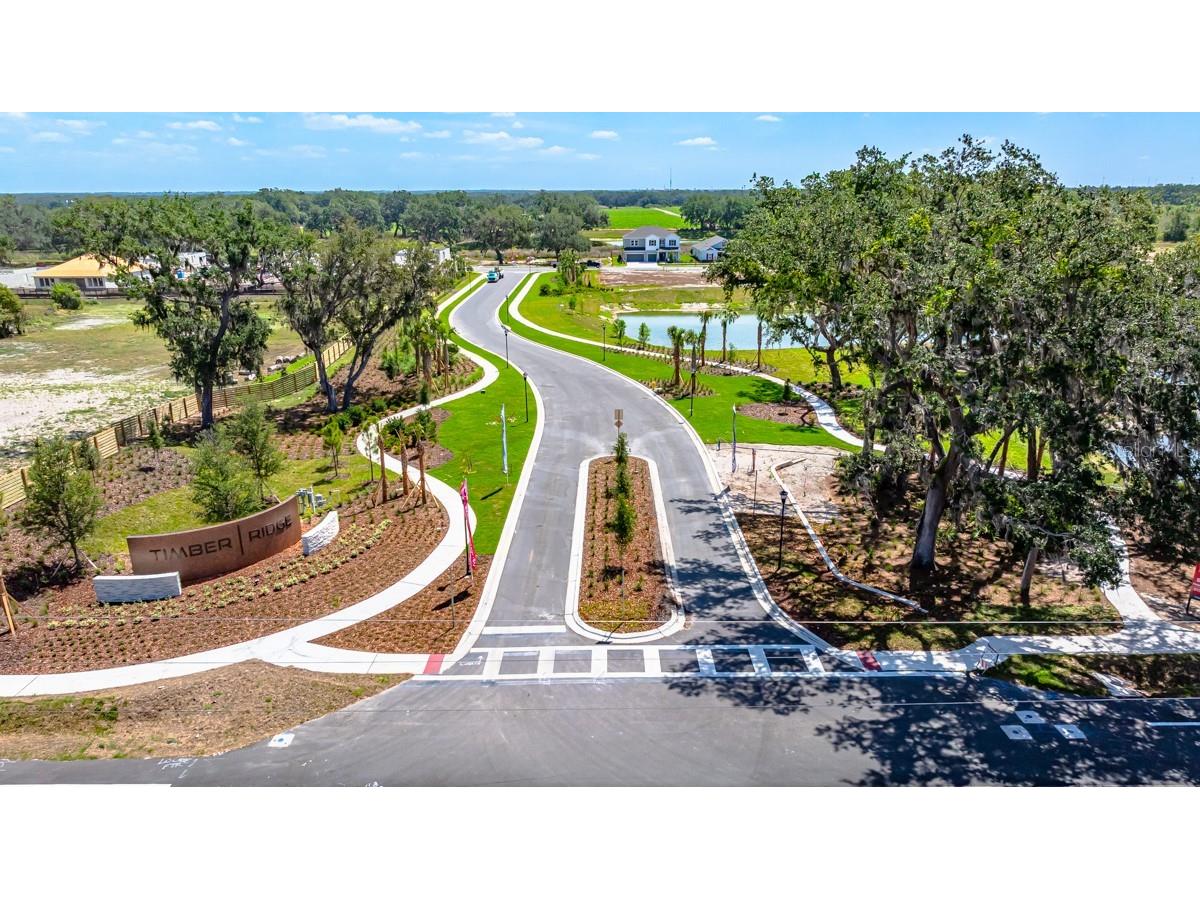 3412 Lumber Falls Drive Plant City FL 33565 TB8468153 image37