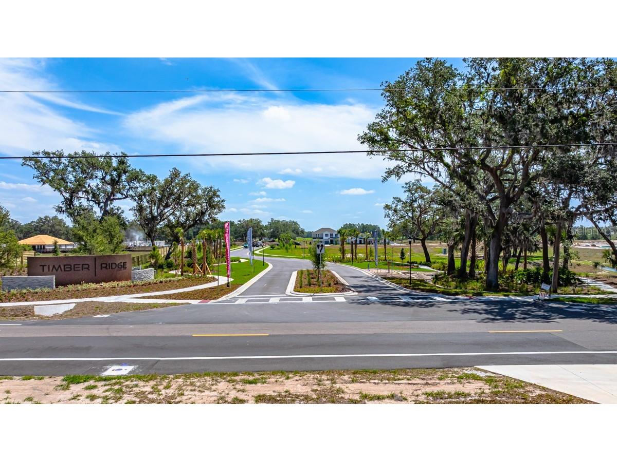 3412 Lumber Falls Drive Plant City FL 33565 TB8468153 image38