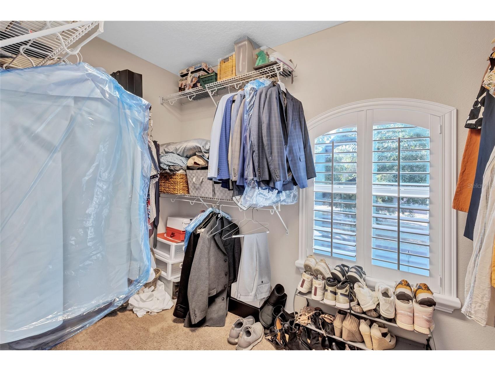 3412 W Cass Street Tampa FL 33609 TB8476362 image38