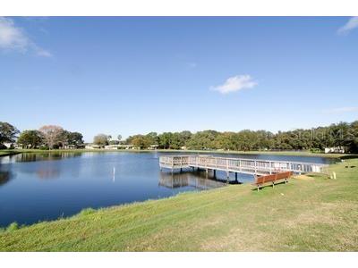 34124 Estates Lane Wesley Chapel FL 33543 TB8323758 image30