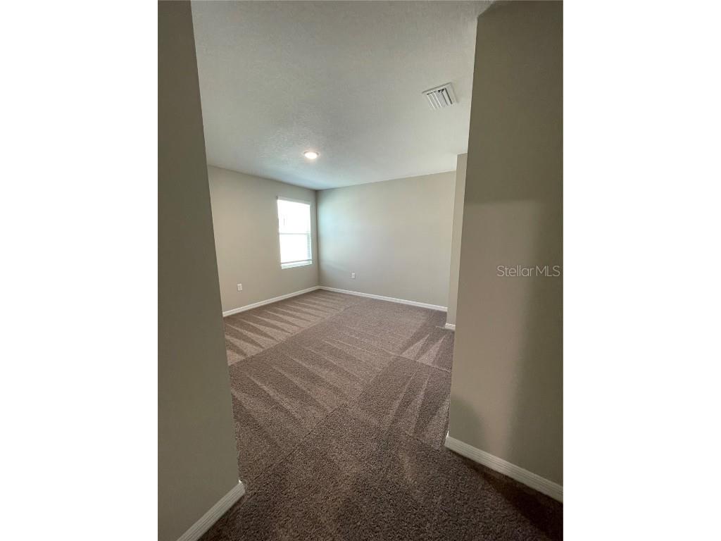 34126 Scarlet Sage Ct Wesley Chapel FL 33545 TB8444061 image12