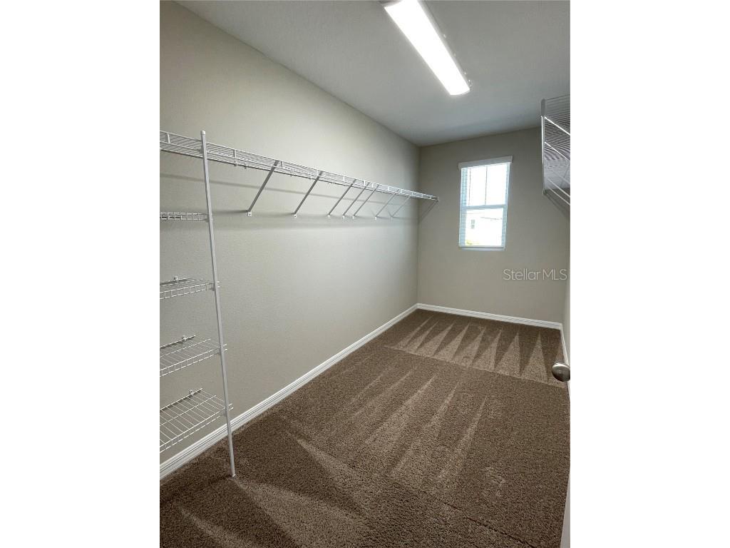 34126 Scarlet Sage Ct Wesley Chapel FL 33545 TB8444061 image13