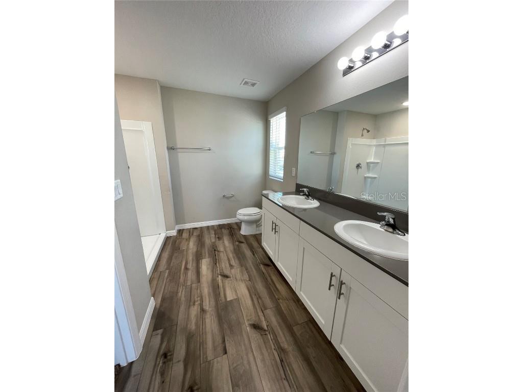 34126 Scarlet Sage Ct Wesley Chapel FL 33545 TB8444061 image17