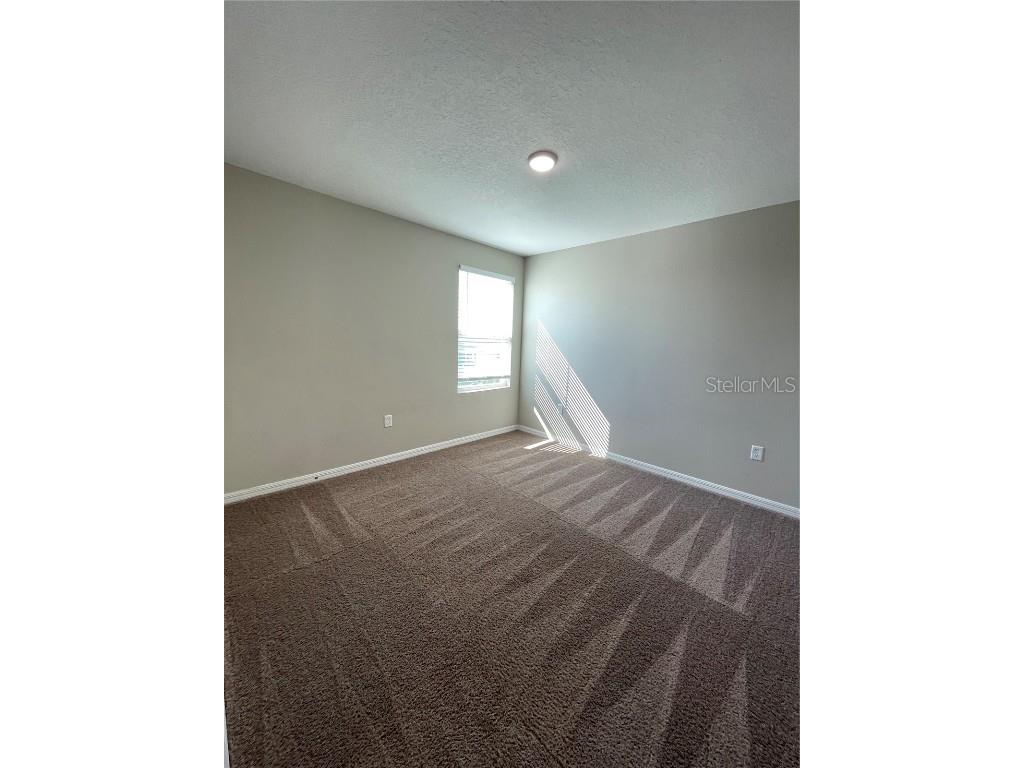 34126 Scarlet Sage Ct Wesley Chapel FL 33545 TB8444061 image21