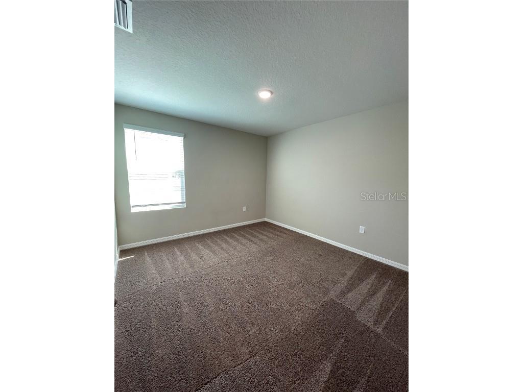 34126 Scarlet Sage Ct Wesley Chapel FL 33545 TB8444061 image23