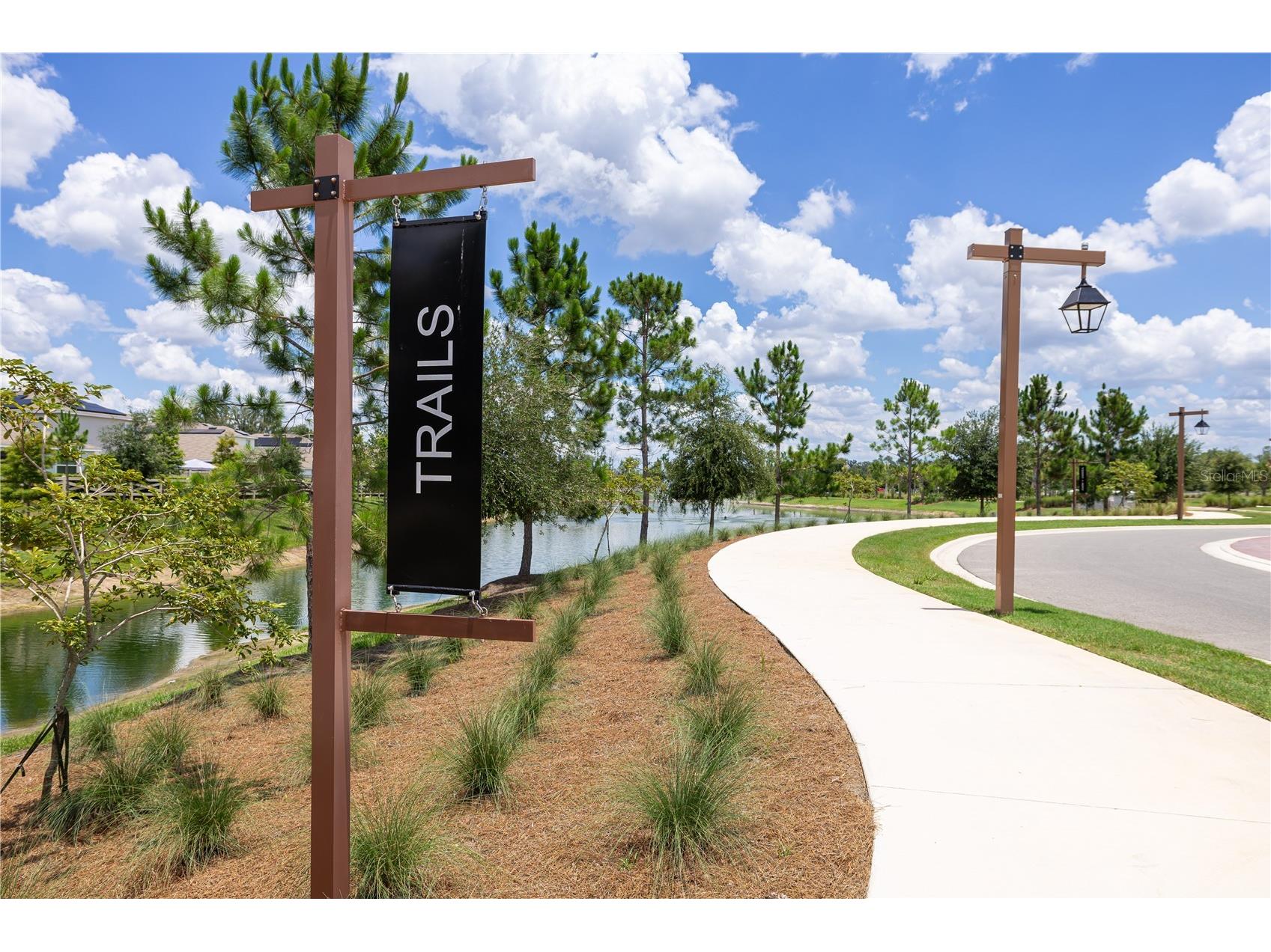 3413 Ivy Hollow Drive Plant City FL 33565 O6416822 image54