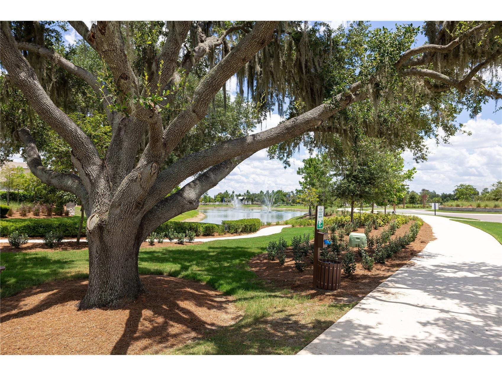 3413 Ivy Hollow Drive Plant City FL 33565 O6416822 image56