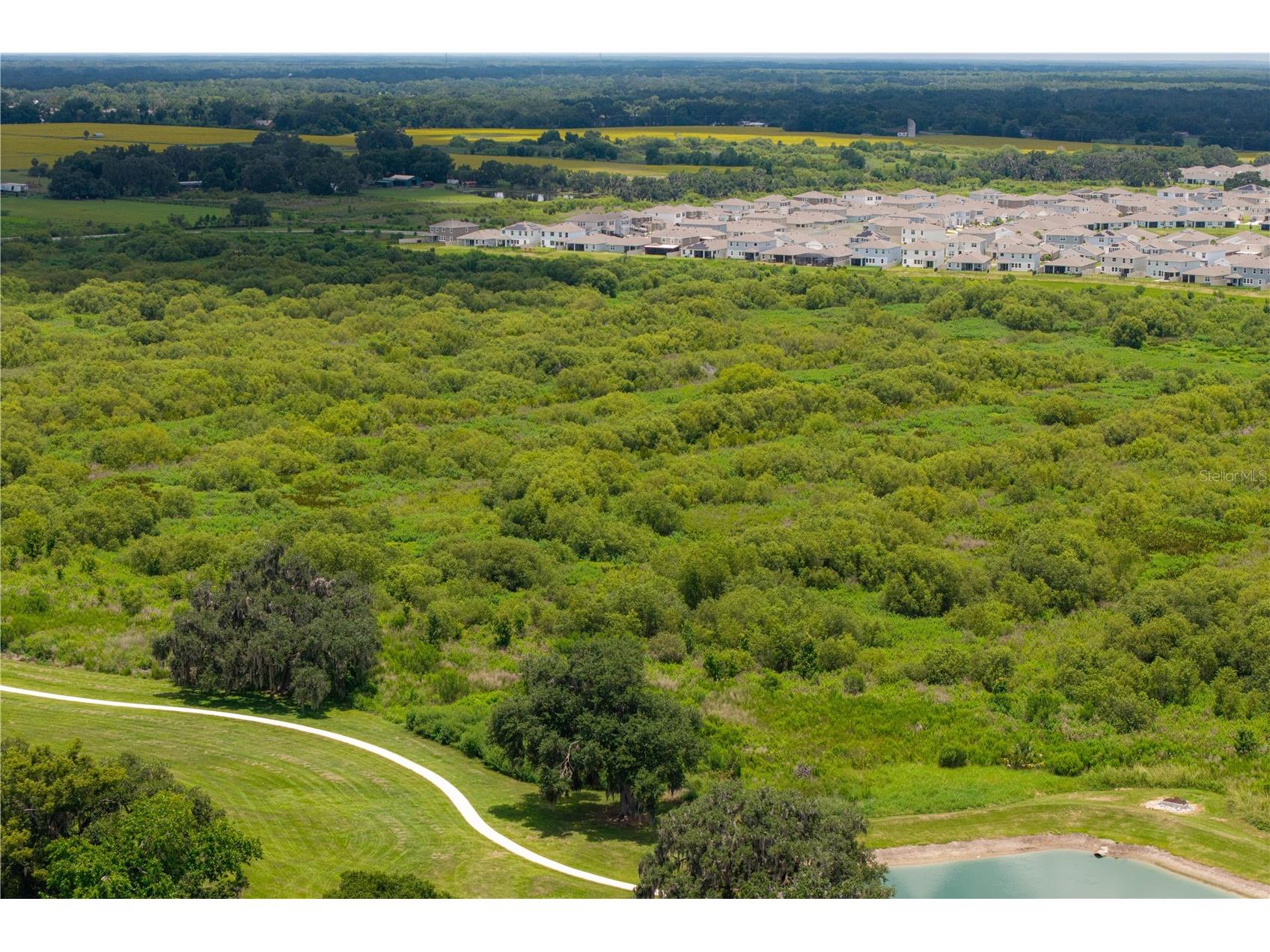 3413 Ivy Hollow Drive Plant City FL 33565 O6416822 image63