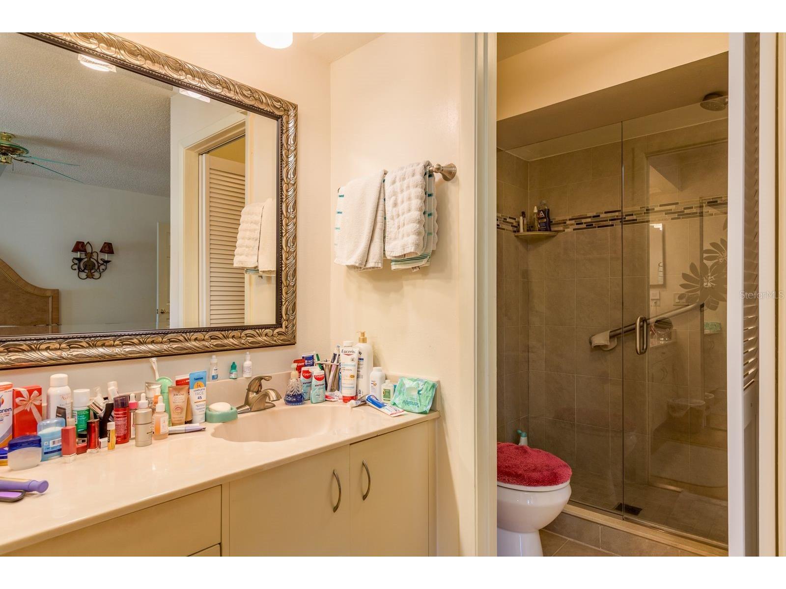 3413 Rochelle Court Clearwater FL 33761 TB8474877 image16