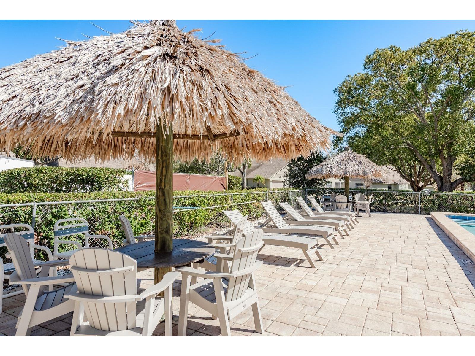 3413 Rochelle Court Clearwater FL 33761 TB8474877 image28