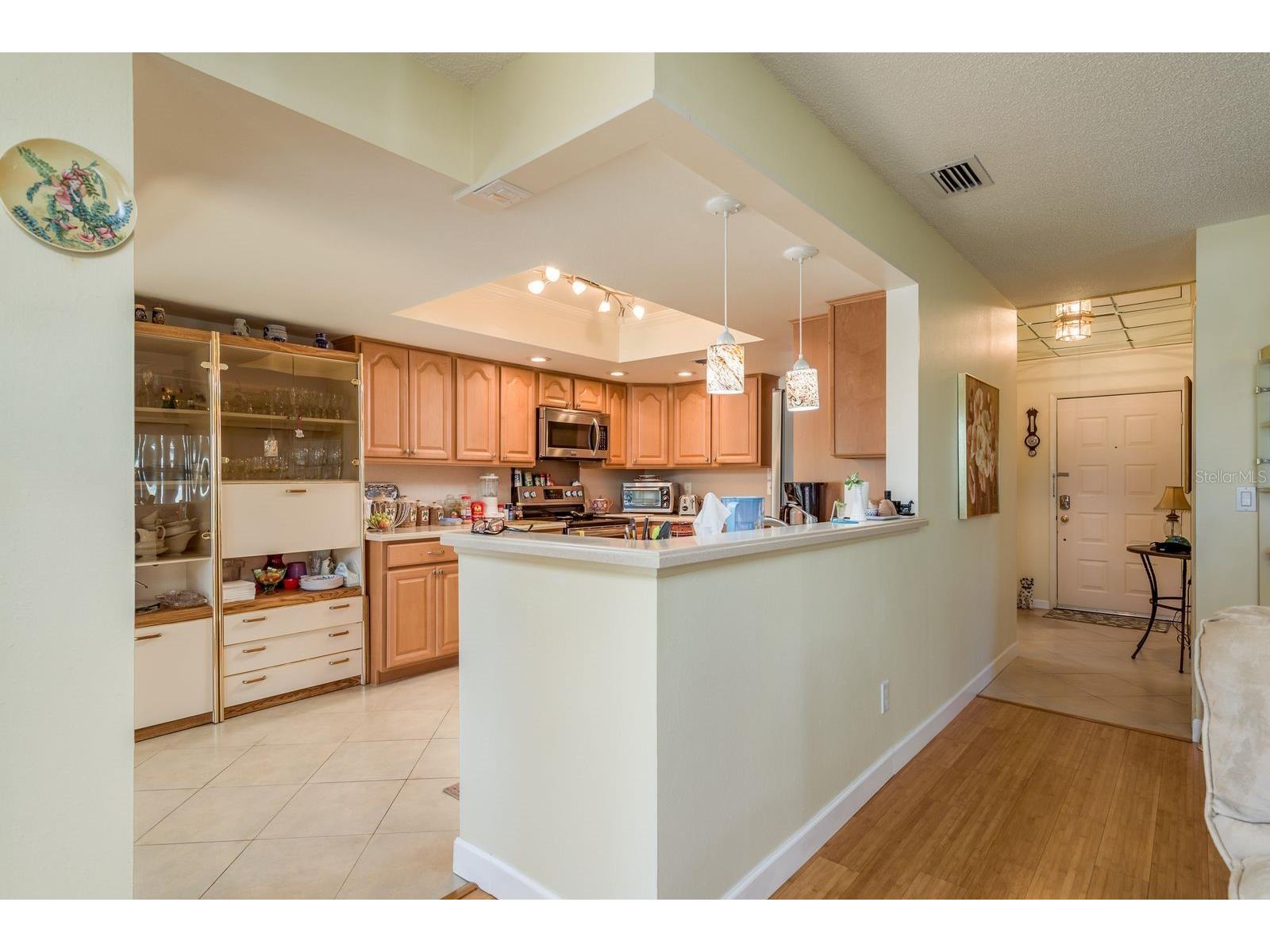 3413 Rochelle Court Clearwater FL 33761 TB8474877 image9