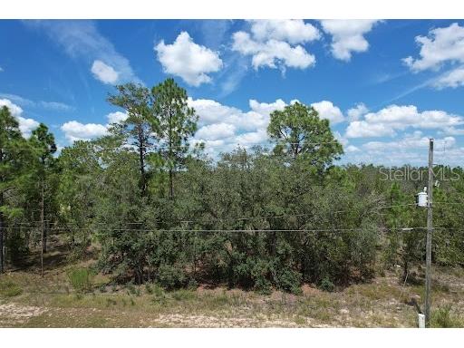 3413 W Hampshire Boulevard Citrus Springs FL 34433 O6139134 image1