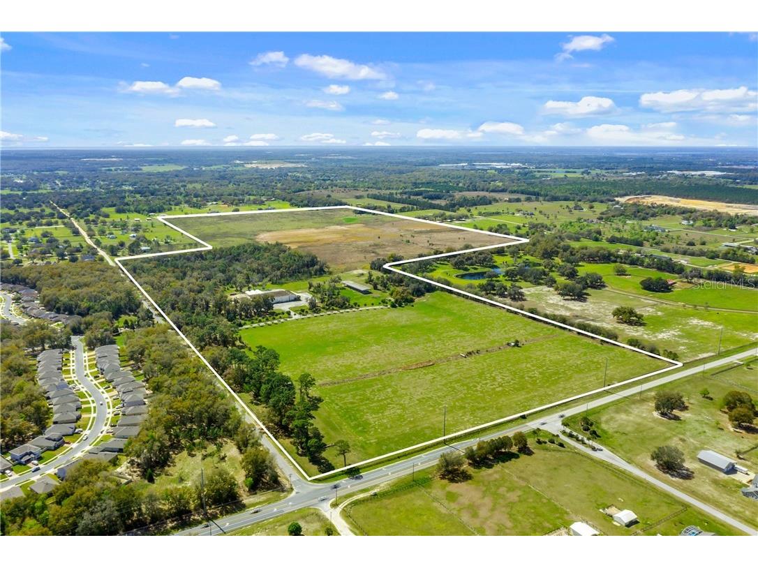 34135 Cardinal Lane Eustis FL 32736 G5039264 image1