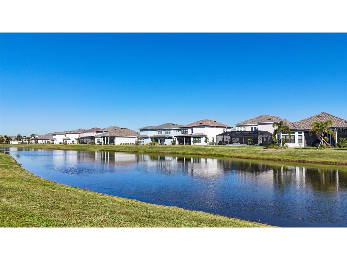 34135 Tompion Way Wesley Chapel FL 33543 TB8444070 image4