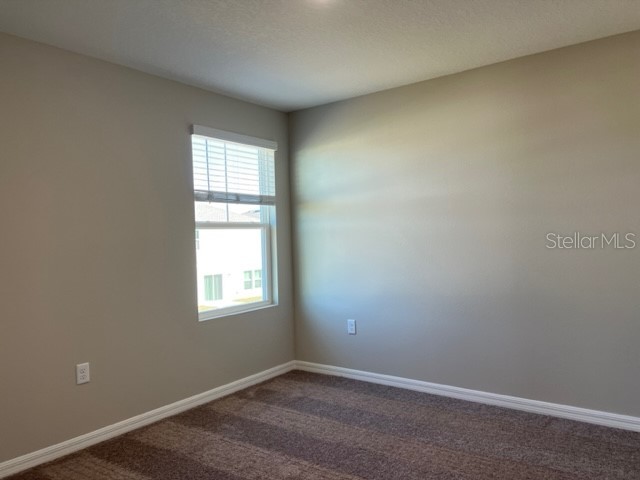 34137 Scarlet Sage Court Wesley Chapel FL 33545 TB8488738 image10