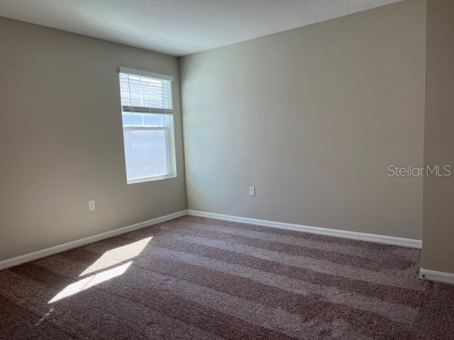 34137 Scarlet Sage Court Wesley Chapel FL 33545 TB8488738 image13