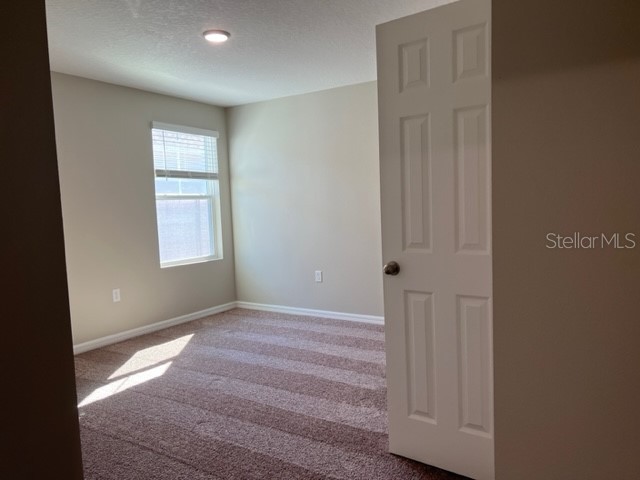 34137 Scarlet Sage Court Wesley Chapel FL 33545 TB8488738 image14