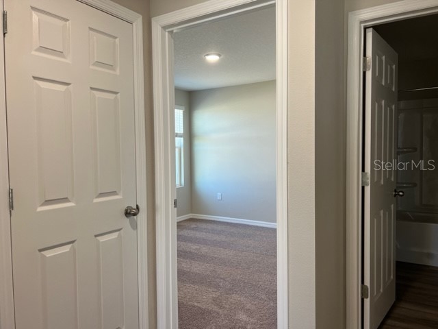 34137 Scarlet Sage Court Wesley Chapel FL 33545 TB8488738 image15