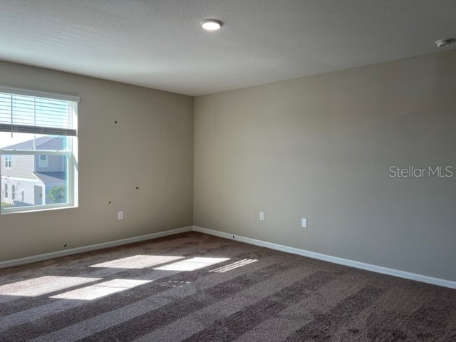 34137 Scarlet Sage Court Wesley Chapel FL 33545 TB8488738 image16