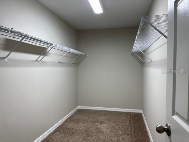 34137 Scarlet Sage Court Wesley Chapel FL 33545 TB8488738 image17