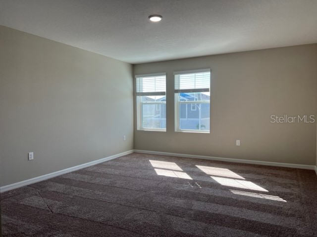 34137 Scarlet Sage Court Wesley Chapel FL 33545 TB8488738 image20