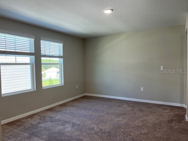 34137 Scarlet Sage Court Wesley Chapel FL 33545 TB8488738 image24