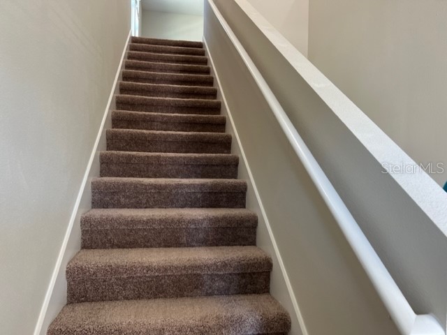 34137 Scarlet Sage Court Wesley Chapel FL 33545 TB8488738 image25