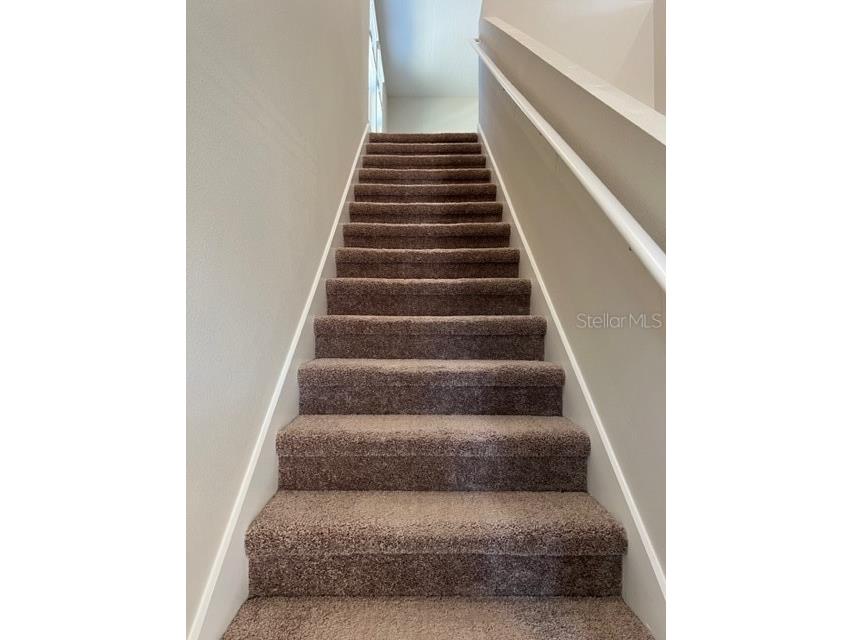 34137 Scarlet Sage Court Wesley Chapel FL 33545 TB8488738 image26