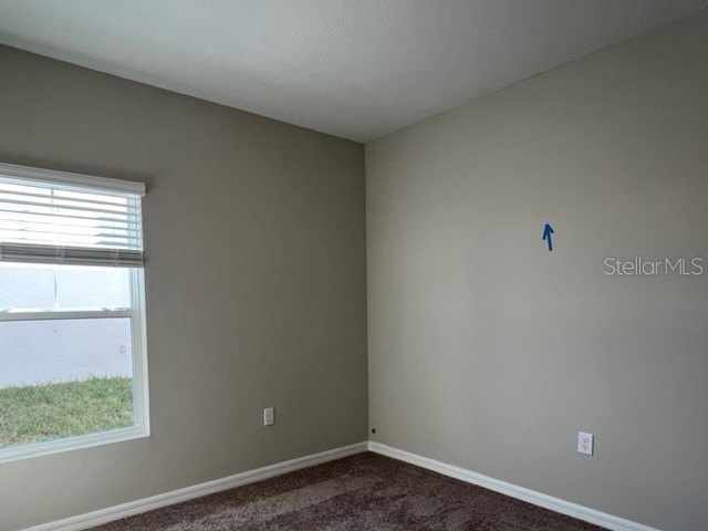 34137 Scarlet Sage Court Wesley Chapel FL 33545 TB8488738 image27