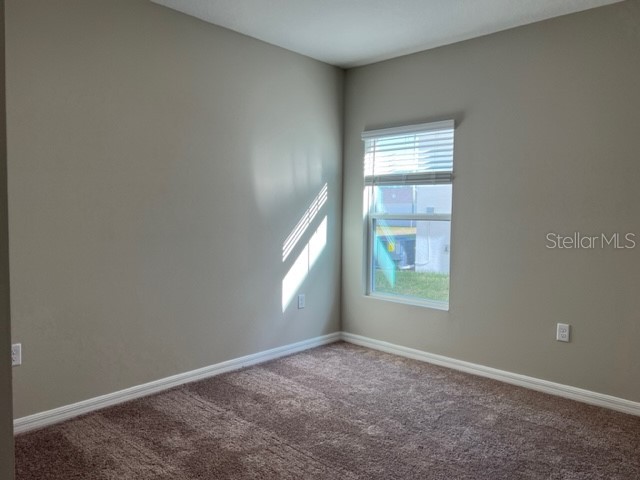 34137 Scarlet Sage Court Wesley Chapel FL 33545 TB8488738 image30