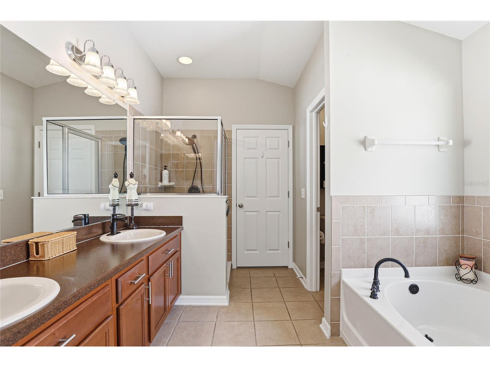 34139 Spring Oak Trail Wesley Chapel FL 33545 TB8494178 image29