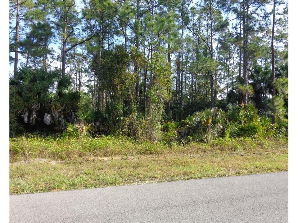 3414 63rd Street W Lehigh Acres FL 33971 O6144975 image1