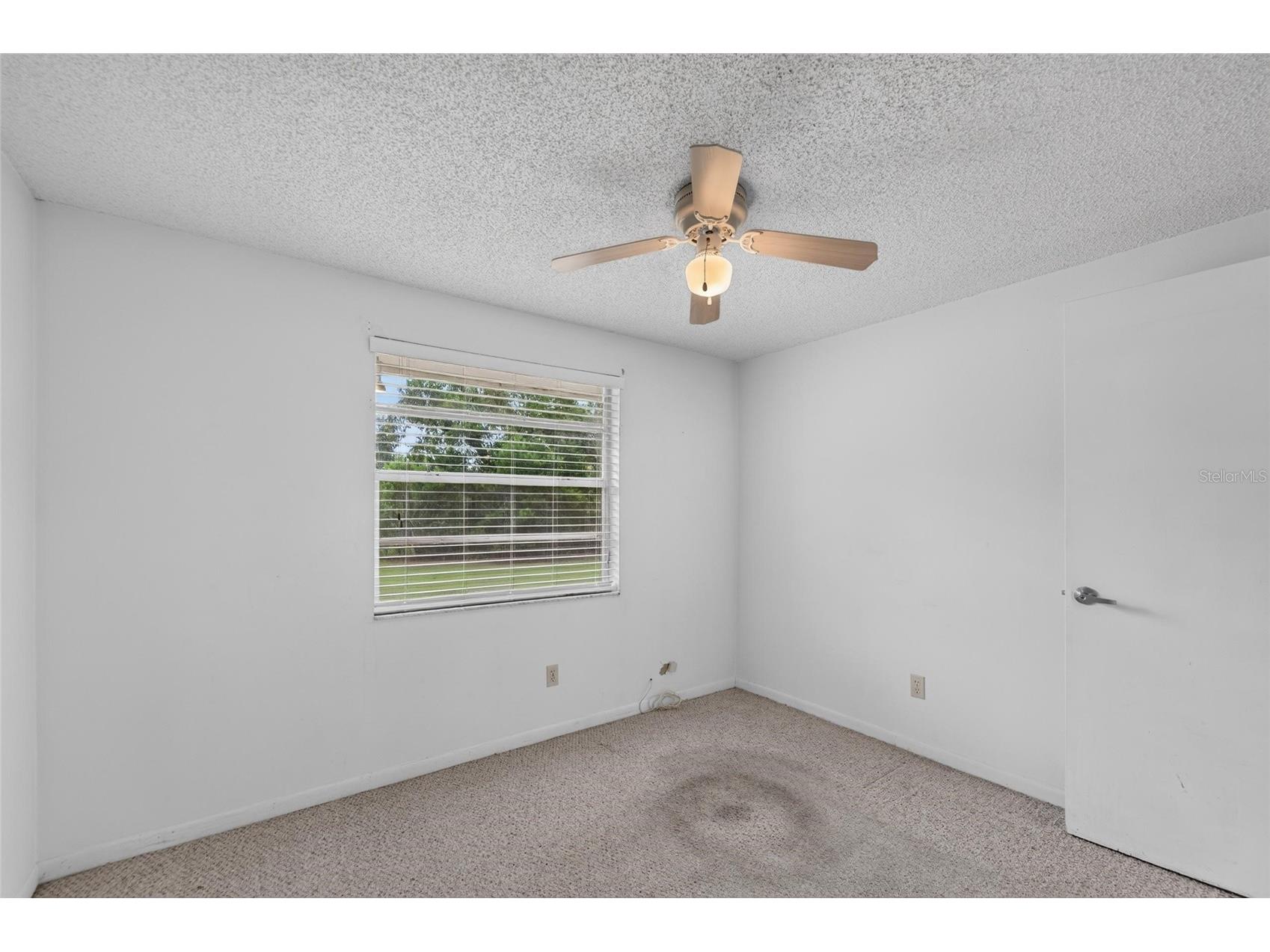 3414 King George Lane Seffner FL 33584 TB8531271 image25