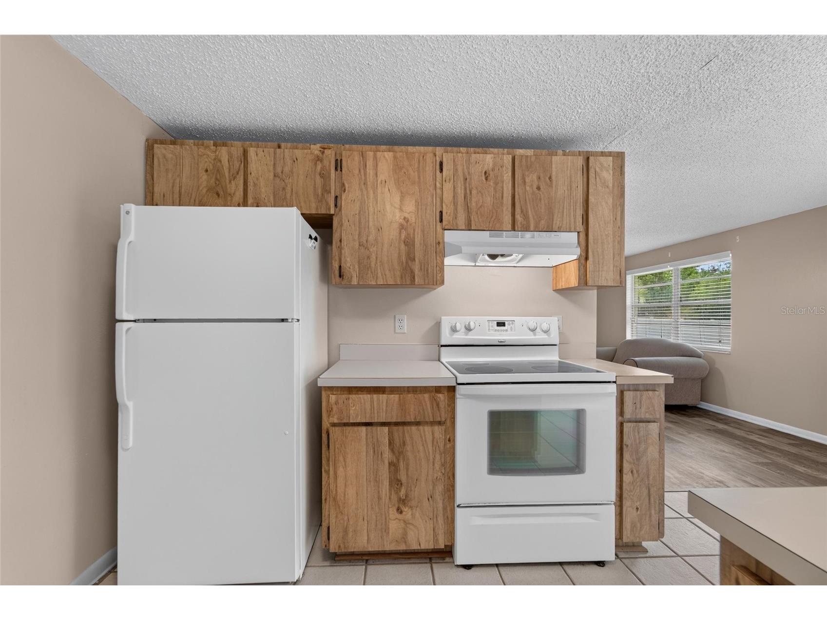 3414 King George Lane Seffner FL 33584 TB8531271 image40