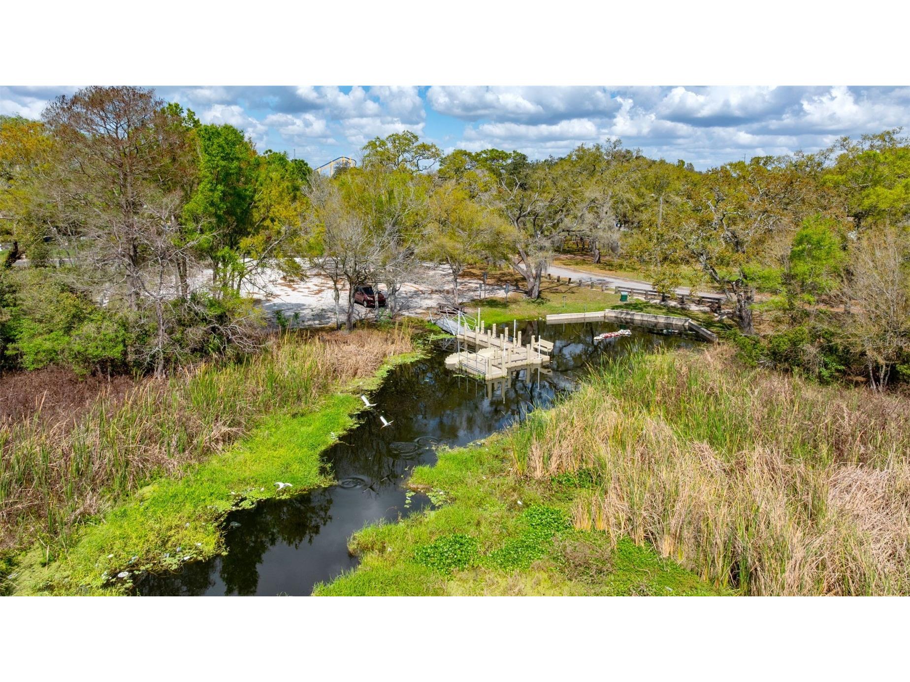 3414 Riverview Drive Tampa FL 33604 TB8486059 image22