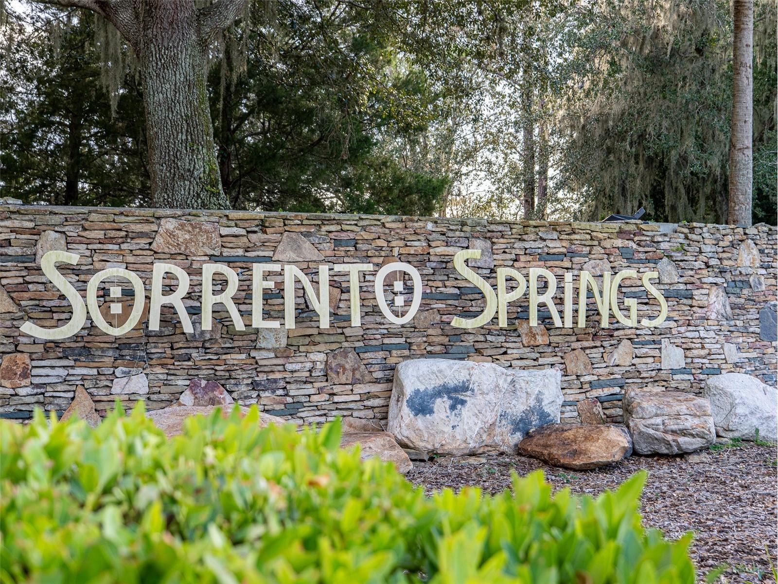 34142 Madiera Lane Sorrento FL 32776 S5148821 image52