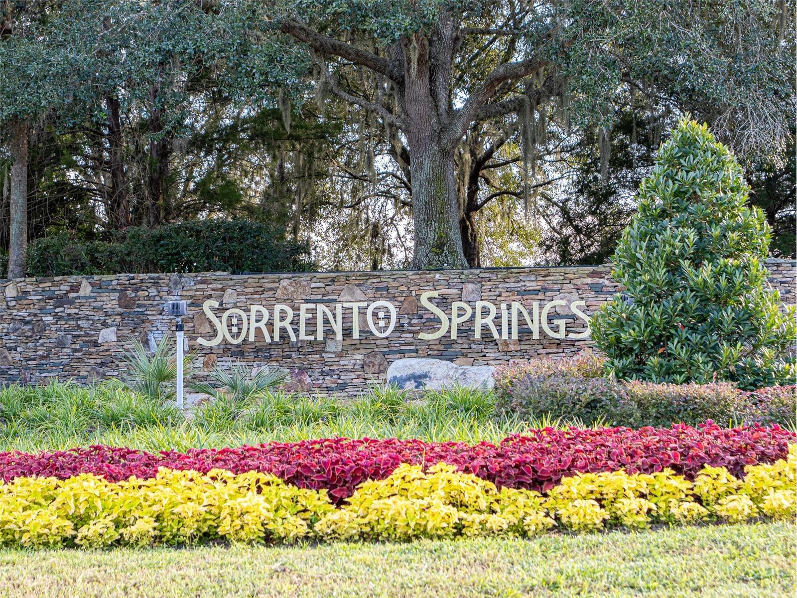 34142 Madiera Lane Sorrento FL 32776 S5148821 image59