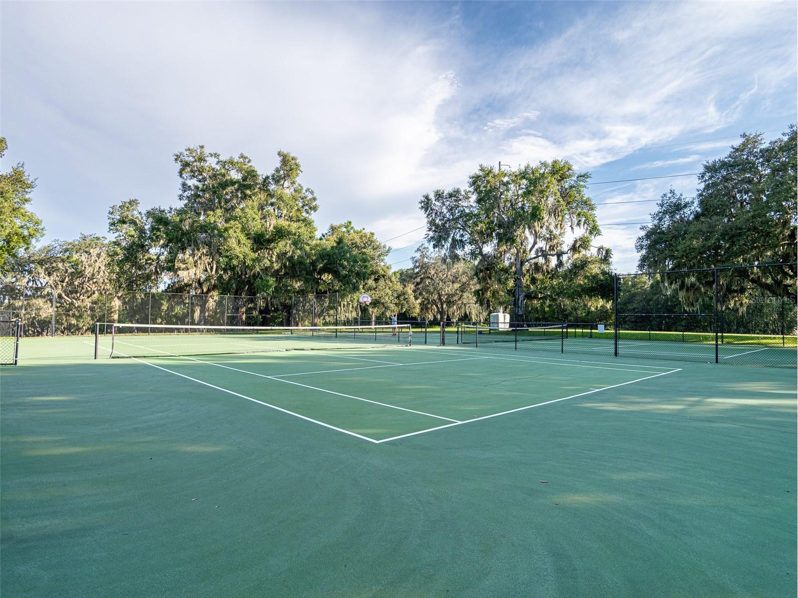 34142 Madiera Lane Sorrento FL 32776 S5148821 image60
