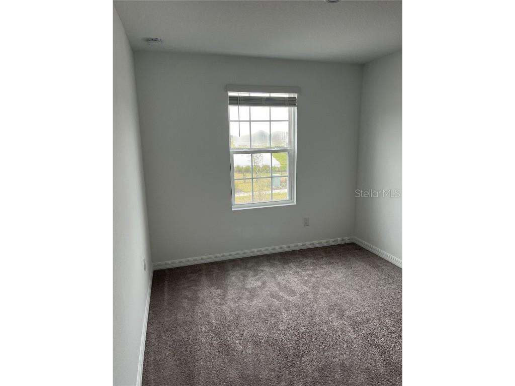 34142 Polacca Lane Wesley Chapel FL 33543 TB8401421 image11