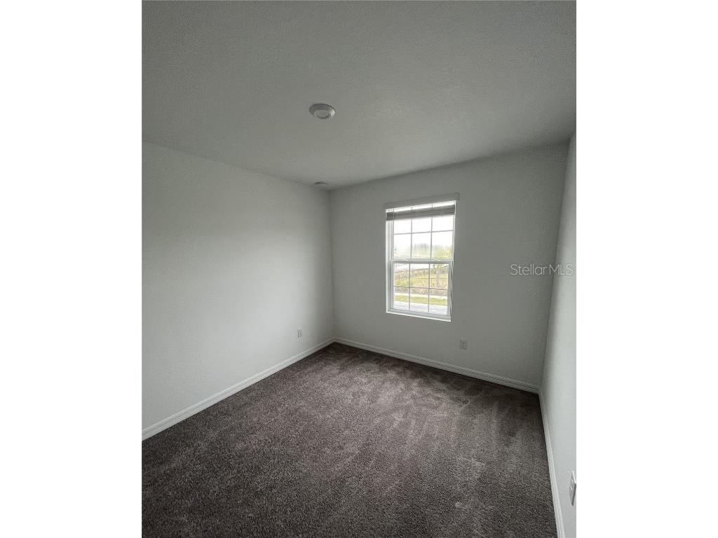 34142 Polacca Lane Wesley Chapel FL 33543 TB8401421 image13