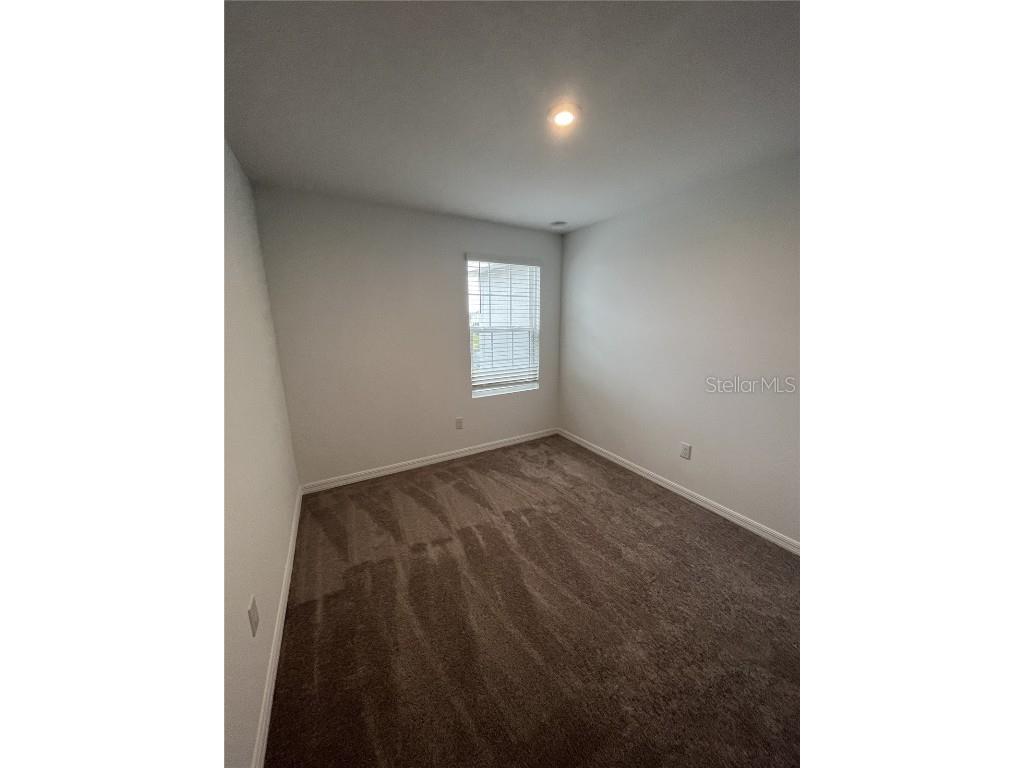 34142 Polacca Lane Wesley Chapel FL 33543 TB8401421 image18