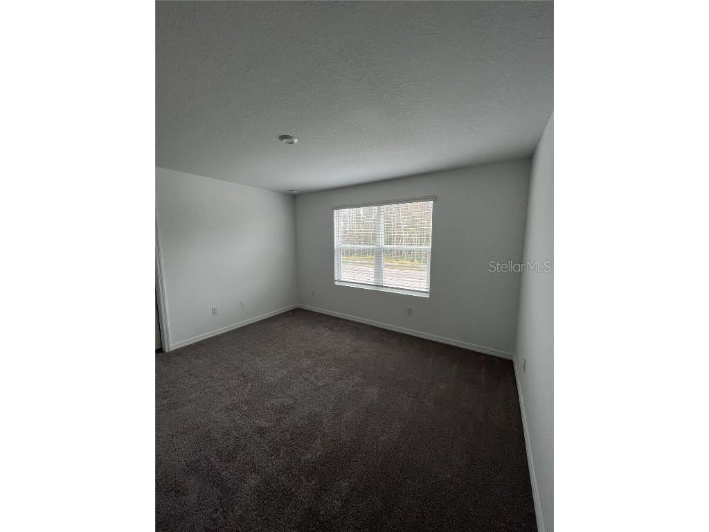 34142 Polacca Lane Wesley Chapel FL 33543 TB8401421 image23