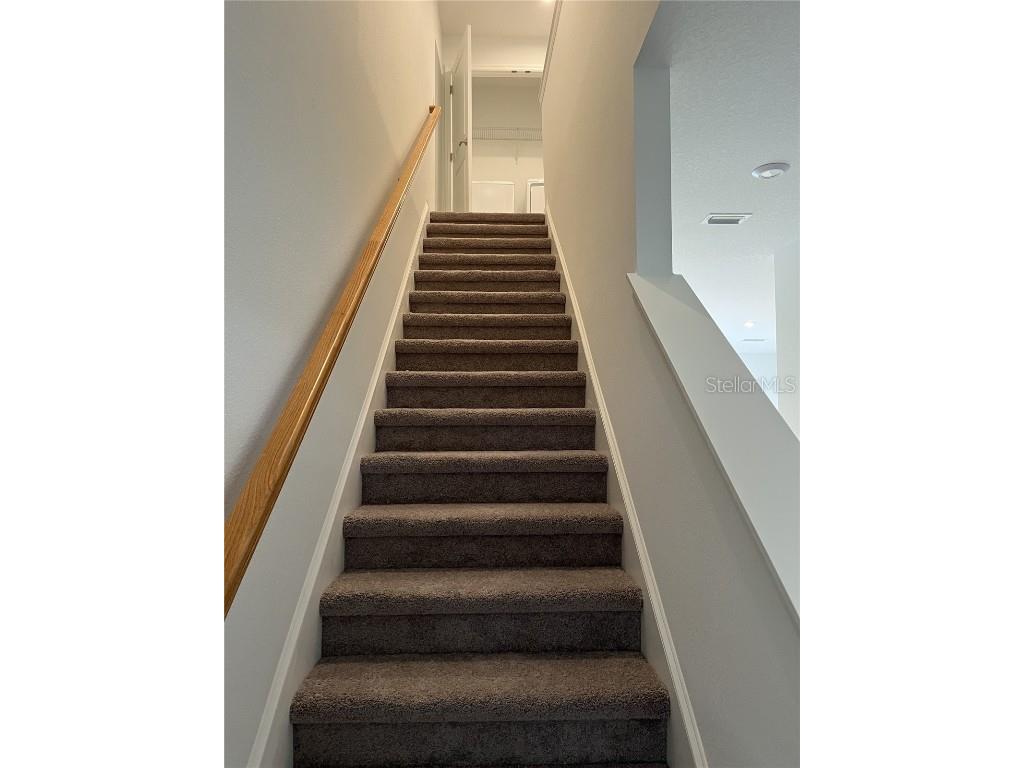 34142 Polacca Lane Wesley Chapel FL 33543 TB8401421 image9