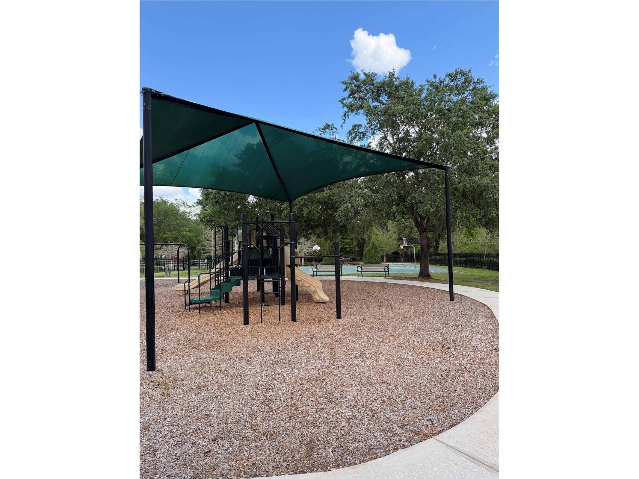 34144 Spring Oak Trail Wesley Chapel FL 33545 TB8491081 image30