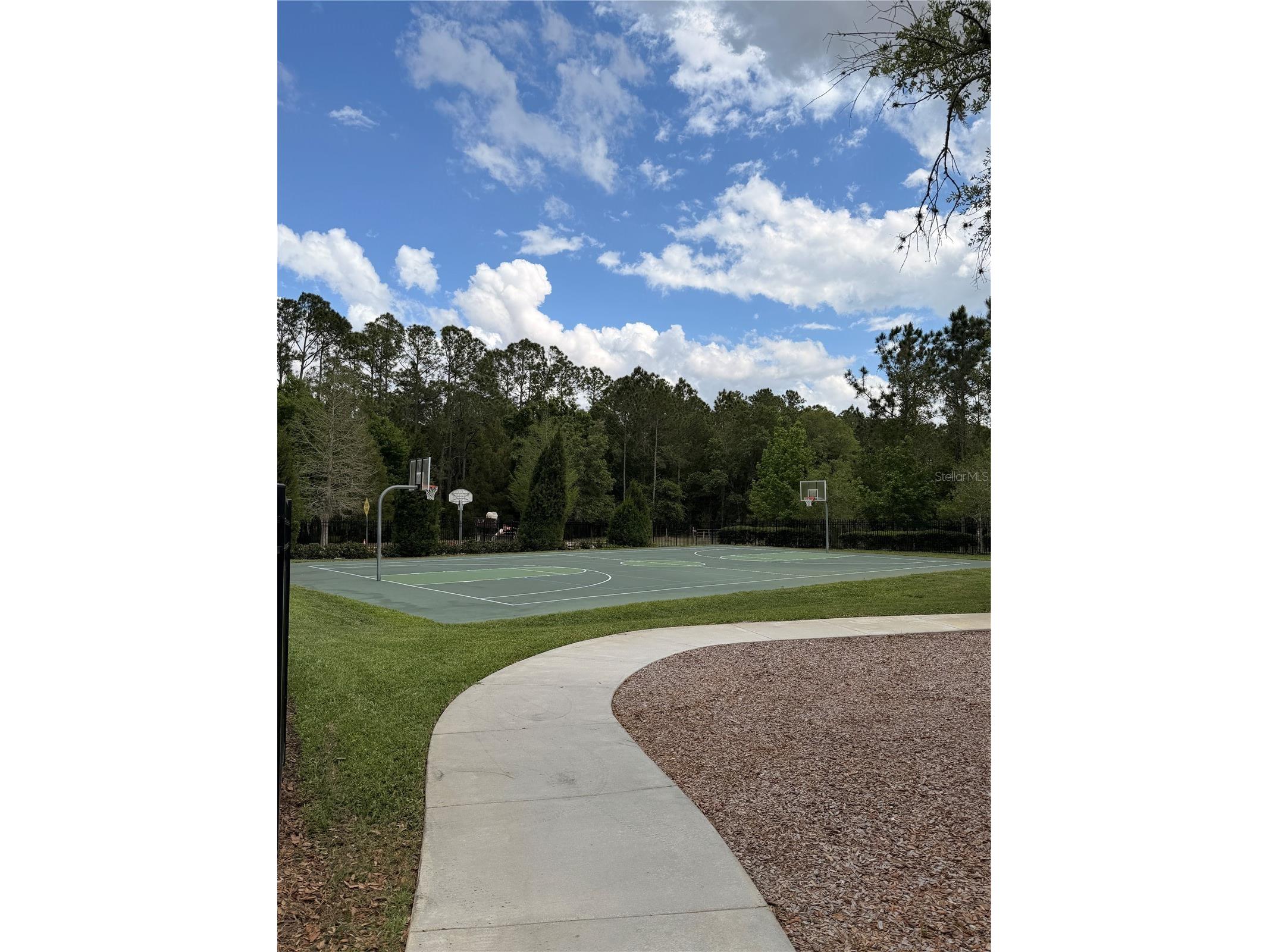 34144 Spring Oak Trail Wesley Chapel FL 33545 TB8491081 image33
