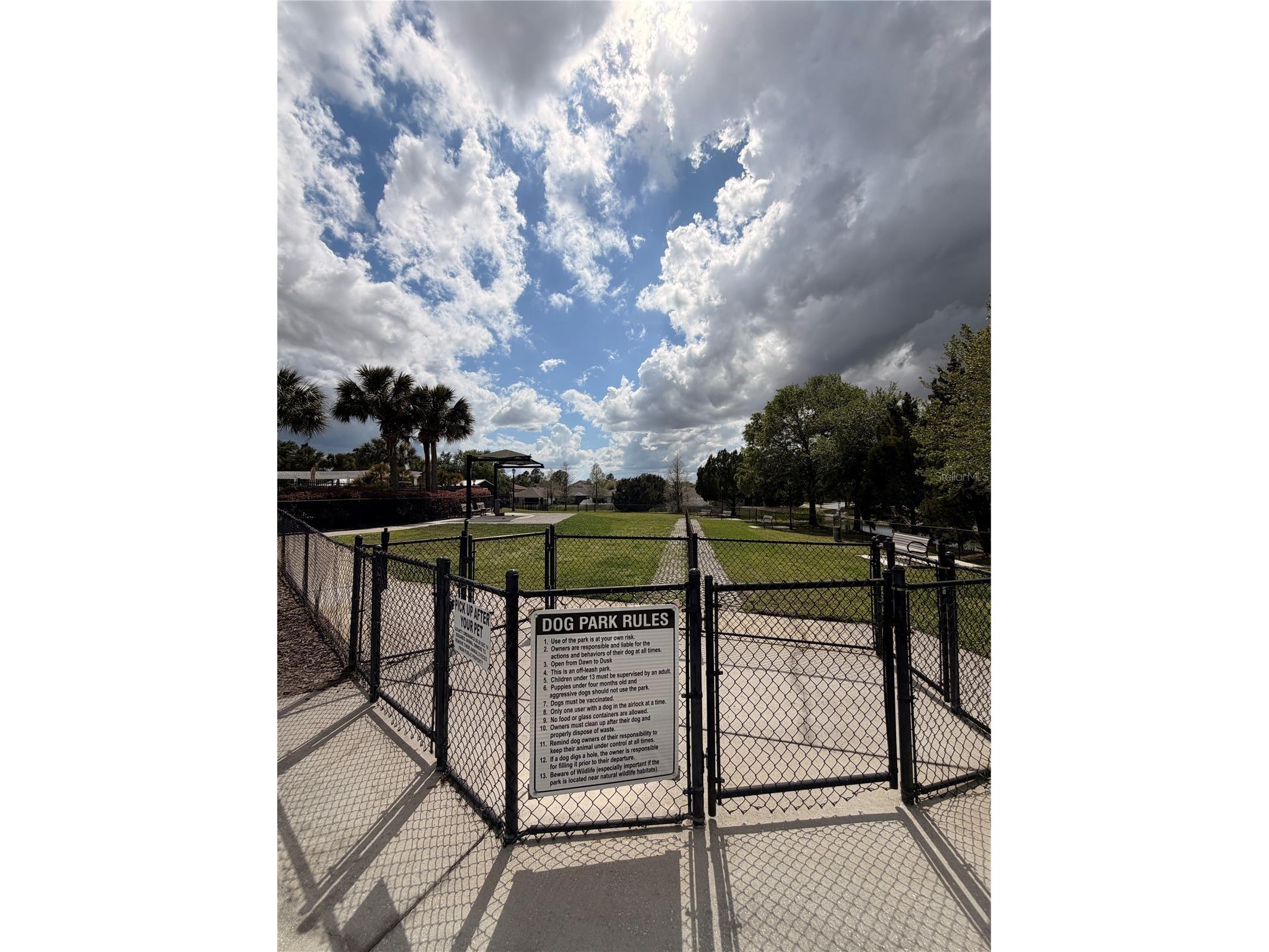 34144 Spring Oak Trail Wesley Chapel FL 33545 TB8491081 image35