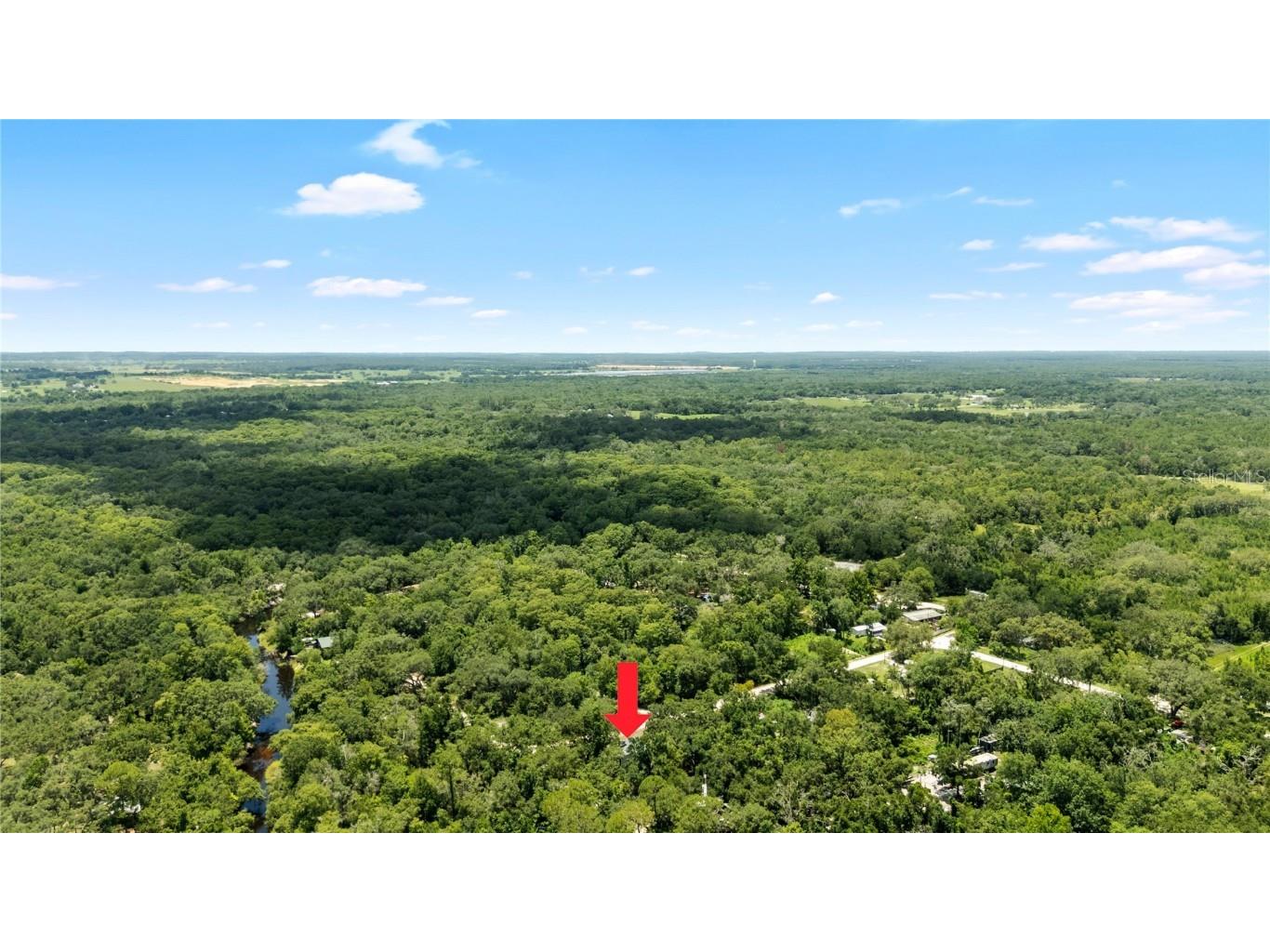 34147 Ringwalt Drive Dade City FL 33523 TB8400463 image2