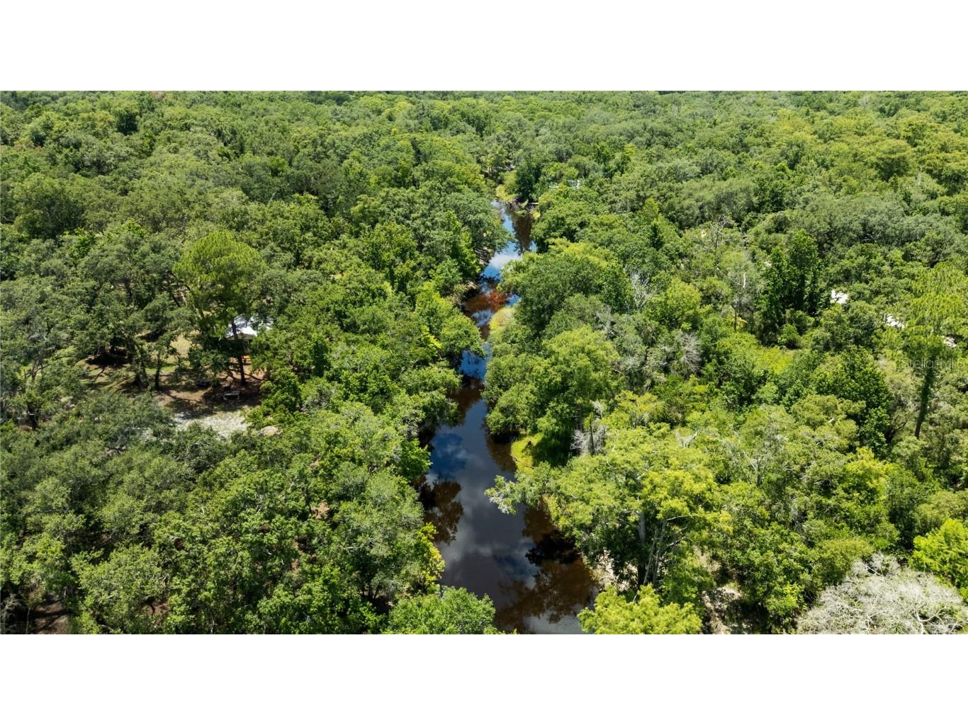 34147 Ringwalt Drive Dade City FL 33523 TB8400463 image27